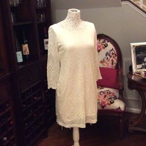 EEUC Banana Republic size 10 white lace dress